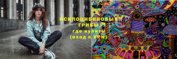 бошки Белокуриха