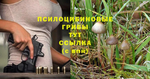 гашиш Беломорск