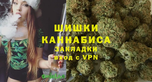 бошки Белокуриха