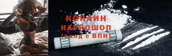 бошки Белокуриха