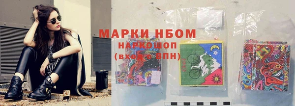 бошки Белокуриха
