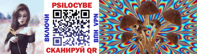 Галлюциногенные грибы Magic Shrooms  Купить закладки  Гудермес 